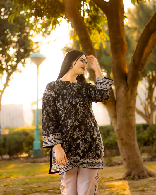 Dilruba Silk 2pc